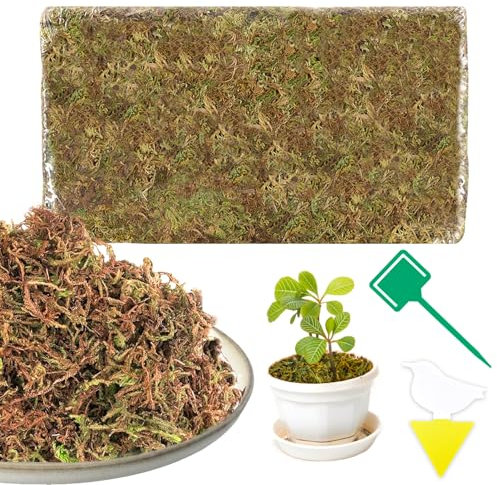 Muschio Secco 200g Muschio di Sfagno Naturale Sfagno, Fibra di Sfagno per piante Idrata e Protegge ideale per Orchidee Bonsai e Carnivore, Sfagno per orchidee professionale