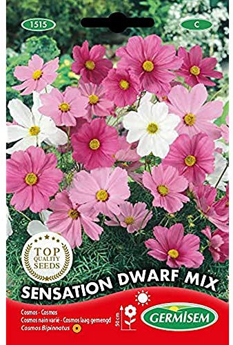 Germisem Sensation Dwarf Mix Semillas de Cosmos 1 g (EC1515)