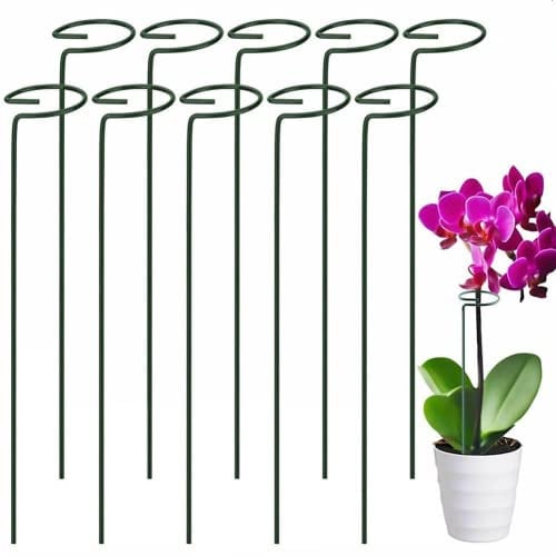 POIWEYR Pflanzenstützstäbe, 10 Stück, 50,8 cm, Metallstütze, Pflanzenkäfige & Stützen, Garten, Einzelstiel, Stützpfahl, Pflanzenstäbe, Unterstützung für Tomaten, Pfingstrose, Lilie, Rose, Blumen,