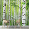 ANALTIRCE Wandbild Tapete Birkenwald Tapeten 250×175 cm Foto Tapete Schlafzimmer Wohnzimmer，Moderne Anlage Bildtapete 3d Effekt Wandtapete