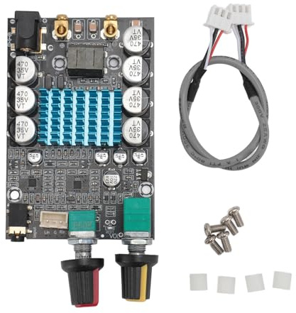 Hochleistungs -Digitalverstärker -Board -Mono 100W -Modul für Subwoofer Amp DIY -Lautsprecher Schwarz