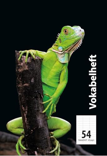 Adina Vokabelheft A6 32 Blatt Lineatur 54