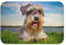 InOmak Schnauzer Rasen Haustiere Graue Hunde Chnauzer,Soft Saummatte Fußmatte Badematte rutschfeste Bodenmatte saugfähige Badezimmerunterlage 40x60 cm