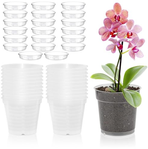 PORFOYO Pot Orchidée Transparent 11,5cm avec Trous De Drainage Et Soucoupes pour Balcon, Bureau, Intérieur, Extérieur