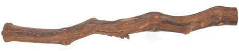 SUPVOX Perchoir Bois De Vigne avec Ventouse pour Reptiles Accessoire Décoratif Et Pratique pour Terrarium pour Lézards Et Petits Animaux Sécurisé Et Stimulant pour Jeu