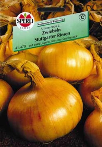 Sperli Zwiebel Stuttgarter Riesen