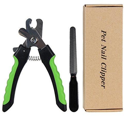 Coupe Griffe Professionnel pour Chien Grand Moyen avec Lime à Ongles, Vert