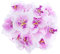 VORCOOL Künstliche Blumen Schmetterling Orchidee, 20 Stück, 9 cm, Seidenblumen, für Hochzeit, Party, Zuhause, Dekoration