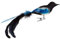 Birds of Glass® Glas-Vogel, Elster mit Naturfeder, Glasschmuck Made in Germany aus eigener Herstellung, deko Vogel mit Clip, Glasvogel, echter Lauschaer Christbaumschmuck, für den Innenbereich
