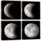 Artscope Stampe e Quadri su Tela 4 pz. Fase Lunare Immagine Fotografia Murale Tela Wall Art Bel Regalo per Home Decor Ristorante Cucina Regalo di Anniversario Compleanno 30x30CM