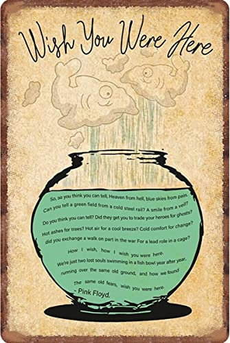 Wish You Were Here Fischglas-Aluminiumschild, lustiges Blechschild, Metallkunst-Poster, Geschenk, Zuhause, Café, Bar, Wanddekoration, Zimmertürzubehör, 20,3 x 30,5 cm