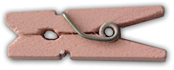 LWR CRAFTS Mini pinces à linge en bois 15 couleurs 200 par paquet 1 2,5 cm (rose clair)