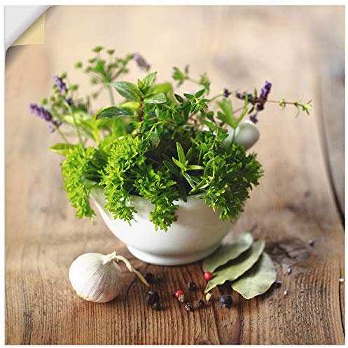 ARTland Wanddeko Wandtattoo selbstklebende Vinylfolie 40x40 cm Kräuter Gewürze Lebensmittel Essen Modern Landhaus Petersilie T5QG
