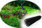 Qualitätsbürsten - Made in Germany Filterbürste 15 Stück á 60 cm für Koiteich-, BZW. Gartenteich