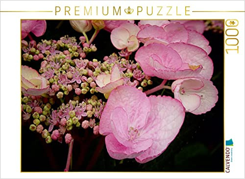 CALVENDO Puzzle Tellerhortensie | 1000 Teile Lege-Größe 64 x 48 cm Foto-Puzzle für glückliche Stunden