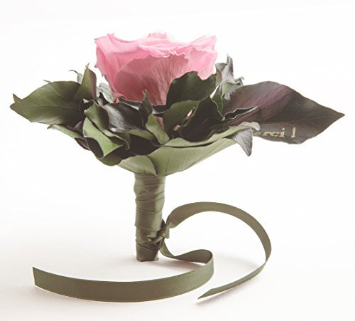 Ewige Rose konserviert Rosenstrauß mit Goldschrift Merci 3 Jahre haltbar Danksagung Gastgeschenk ROSEMARIE SCHULZ® (Rosa)