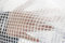 Clear & Reinforced Tarpaulin/Ground Sheet/Fly Sheet,builders tarp,garden dry cover,winter plant cover up (6m x 8m,)