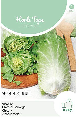 Hortitops 12145 Ensalada de achicoria Pan de Azúcar (semillas de achicoria)