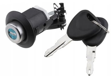 Cylindre de serrure de hayon avec clés pour Dacia Sandero 905020198R