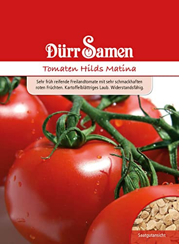 Tomaten Samen Hilds Matina Rote Tomate Tomatensamen ca 80 Korn Saatgut Robust Ertragreich Garten Hochbeet Kübel Dürr Samen