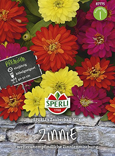 Zinnie Sperli's Zauberball | Zinniensamen von Sperli-Samen