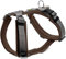 HUNTER Geschirr Maldon 37-53/XS-S