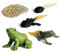 Uposao Lebenszyklus Modelle Frosch, Simulation Tierwachstumszyklus Modell Tierfiguren Spielzeug Biologie Wissenschaft Modell Wachstum Stadium Modell für Kinder Unterrichtszubehör Lernspielzeug