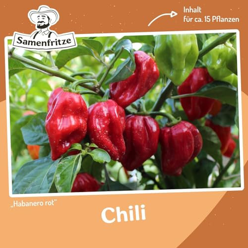 Chili Habanero rot Samen für ca. 15 Pflanzen - klassischer, weit verbreiteter Chili
