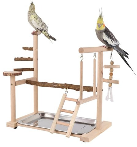 Dynaeuty Papagei Vogelspielplatz, Wellensittich Spielzeug, Parrot Playstand, Geeignet für Eclectus, Ara, Kakadu, Sittich (36x23x39cm)