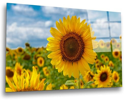 INDIGOS UG Luxus Glasbild - Sonnenblume - 100x60 cm - ESG Echtglas bedruckt - Glasdruck - Wohnzimmer, Küche, Schlafzimmer, Badezimmer - Geschenk - Deko, Wandbild