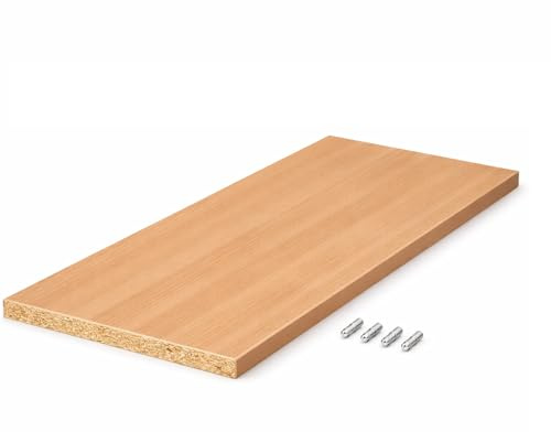 BaustoffhandelShop Einlegeboden nach Maß Dekorspanplatte 19mm mit ABS-Kante und Haltern BUCHE HELL (60x50 cm)