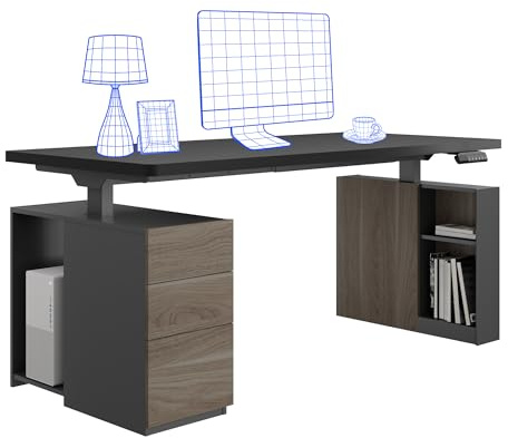 FLEXISPOT Höhenverstellbarer Schreibtisch, Dualmotor elektrischer Schreibtisch, 25MM Einteilige Tischplatte, mit Untertisch-Schublade und Stauraum, LED-Höhenanzeige mit Memory-Funktion, Schwarz