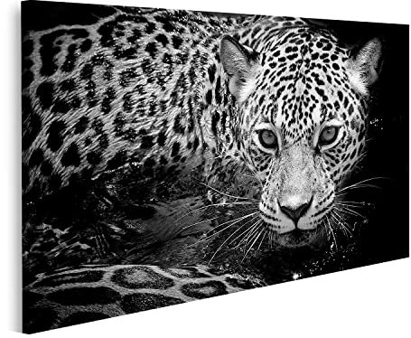 Bild auf Leinwand Jaguar Portrait Wandbild Poster Kunstdruck Bilder