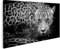 Bild auf Leinwand Jaguar Portrait Wandbild Poster Kunstdruck Bilder