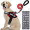 Service Dog Hundegeschirr, Geschirr und Leine, Animire in Trainings-Hundegeschirr mit 10 Hunde-Patches, reflektierende Hundeleine mit weich gepolstertem Griff für kleine, mittelgroße und große Hunde