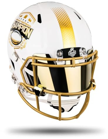 Fantasy Football League Championship Helmet (Helmet Only)