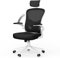 rattantree Silla de Oficina Ergonómica con Reposacabezas Ajustable y Soporte Lumbar, Respaldo de Malla Transpirable, Reposabrazos Abatibles de 90grados, Silla Giratoria de 360grados, Blanco (011W)