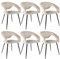 Kick Collection 6er Set Esszimmerstühl Lenn Velvet - Samt - Champagner - Modern und Hochwertig - Samtstoff und Metall - Erhältlich in vielen Farben