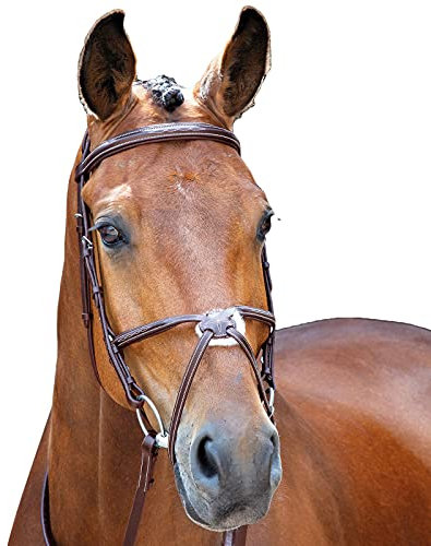 Shires Salisbury Sweater Brackley Zaumzeug mit mexikanischem Reithalfter mexikanischet Reithalfter Cob Mehrfarbig - Australian Nut