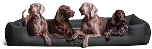 tierlando® Orthopädisches Hundebett Goofy für große Hunde XL bis XXXL mit waschbarerem Polyester-Bezug, ideal bei Gelenkproblemen Größe: 160x110cm | Farbe: 02 Graphit