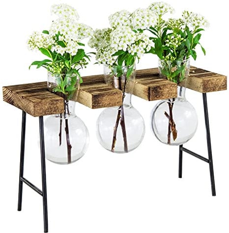 HANGOU Hydroponik Glasvase Luft Pflanzen Terrarium Schreibtisch Glas Pflanzgefäß Glühbirne Glasvase mit Holzständer für Hydrokultur Pflanzen Gartendekoration im Heimbüro (3 Vasen)