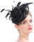 Kopfschmuck Mesh Damen Fascinator Hut mit Haarnadel Banketthut Elegant Haarschmuck 20er 50er Jahre Partyhut Vintage Royal Banketthut für Hochzeit Party Cocktail Karneval