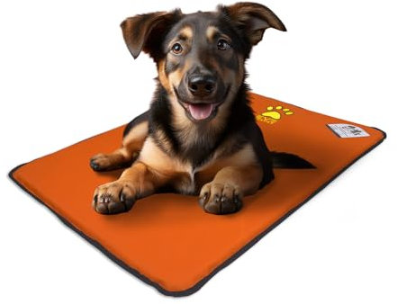 EVE Textile Hundematte | Katzenmatte | Hundekissen | Katzenkissen | Hundebett | Katzenbett | Matte für Hunde und Katzen | Beidseitig Verwendbar | Atmungsaktiv | Kühlend | 50x70x2 cm (Orange)