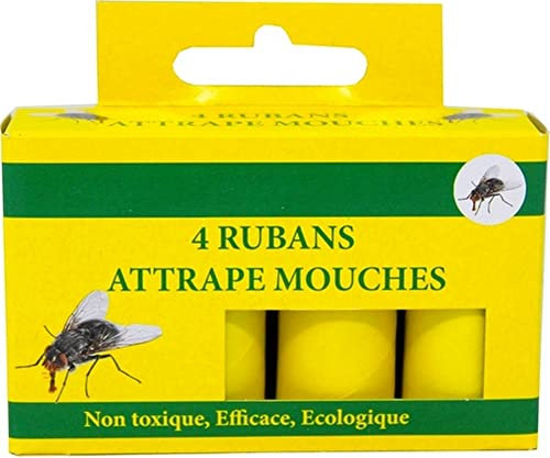 Band Fängt Fliegen, Tights Tötet Fliegen, Schachtel mit 4 Bänder