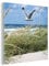 MuchoWow Glasbild Glasfoto Wandbild Bilder Deko 50x50 cm Strand - Pflanzen - Vogel