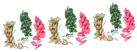 Sosoport 9 Pcs Rotin pour Animaux De Compagnie Aménagement Paysager Plantes Artificielles Terrariums Plantes pour Aquarium Décor De Reptile Décor D'Aquarium Plantes De Reptiles Vigne