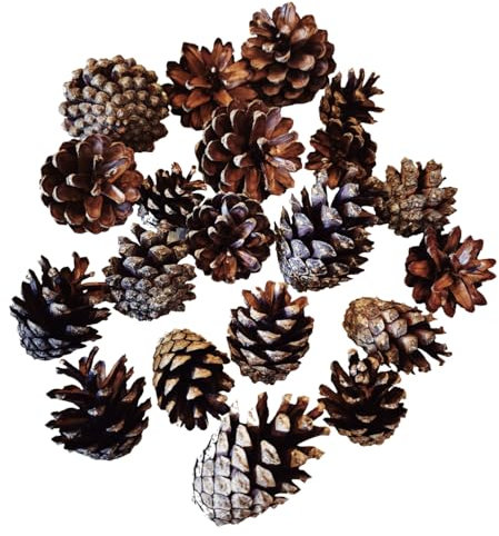 Bazko Hochwertige Natürliche Kiefernzapfen Dekorativ - Set aus 200 Stück – Perfekt für Weihnachten, Basteln & Tischdekoration – Verschiedene Größen