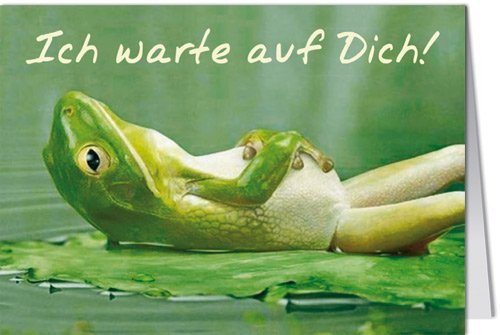 Grußkarte MINI +++ LUSTIG von modern times +++ ICH WARTE AUF DICH +++ ECKI DESIGN