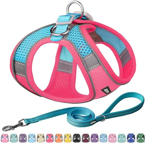 AIITLE Ensemble Harnais et Laisse pour Chien - Harnais Anti-Traction avec Bandes réfléchissantes, Harnais d'extérieur réglable pour Chiens de Petite et Moyenne Taille Rose Vif M