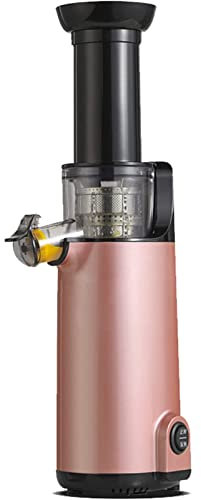 Higher Juice Yield Compact Slow Juicer - Portable Small Masticating Machine for Vegetable and Fruit with 120W Motor, Reverse Function - Cold Press Juicer